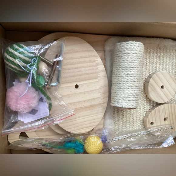 Long Cat Exercise Post - Picture 3 of 4